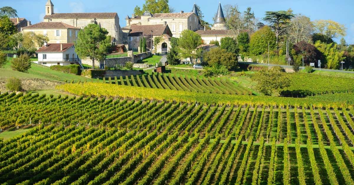 vignoble bordeaux