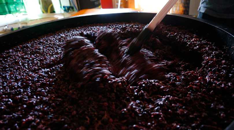 pressage raisin fabrication vin cacher