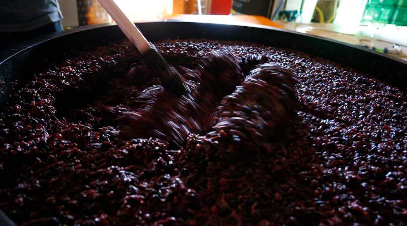presurage extraction mous vin raisin fabrication casher cacher kasher kacher