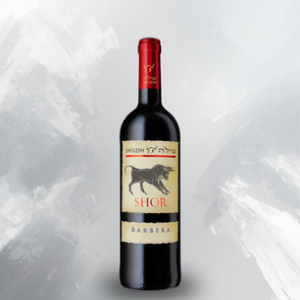 Shiloh - Shor Barbera